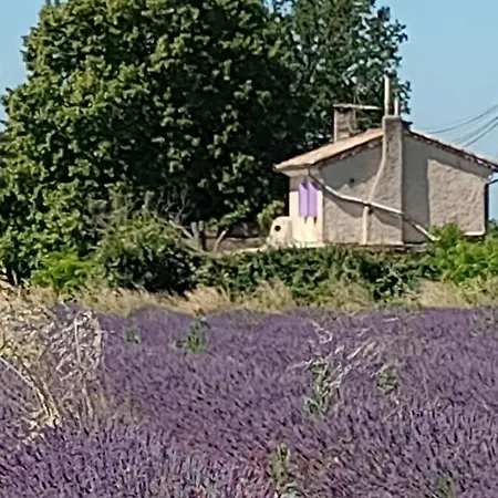 Entre Vignes & Piano 